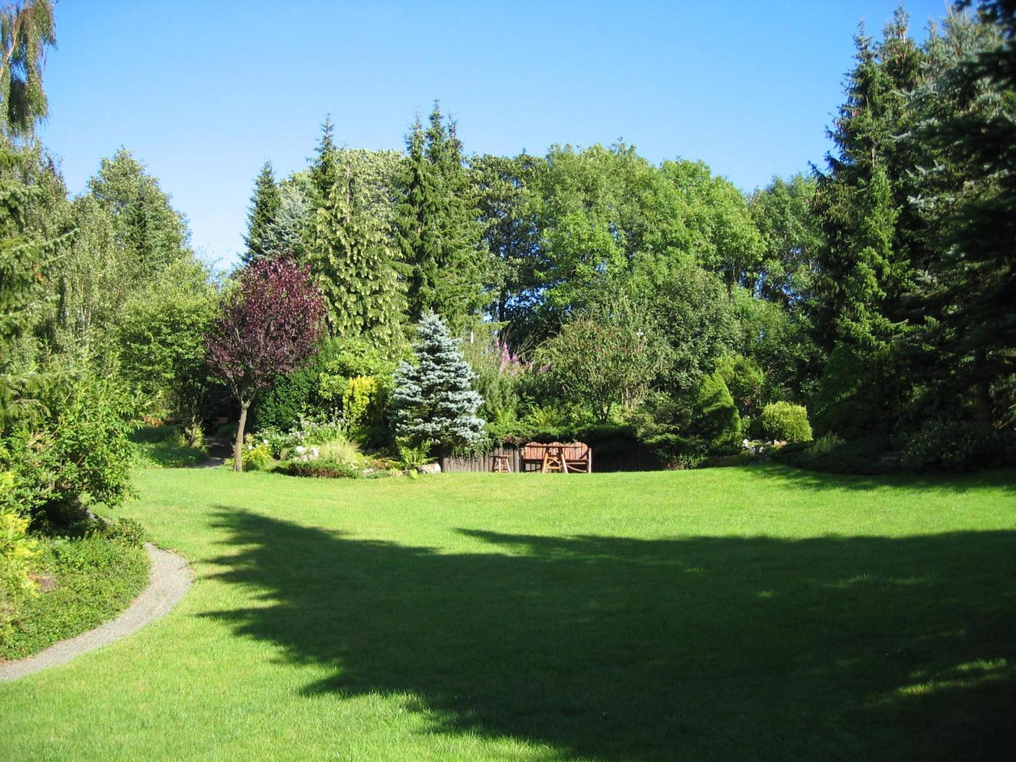 Landhaus Fischer Sankt-Andreasberg Extérieur photo