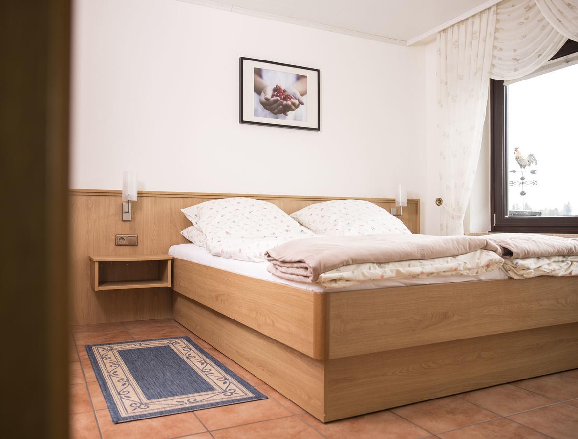 Landhaus Fischer Sankt-Andreasberg Extérieur photo