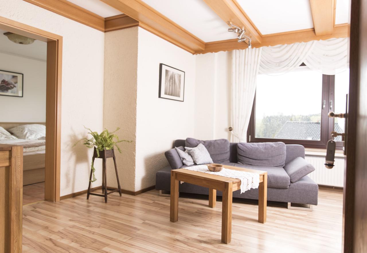 Landhaus Fischer Sankt-Andreasberg Extérieur photo
